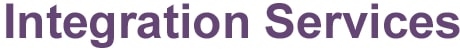 Winshuttle Integration Services